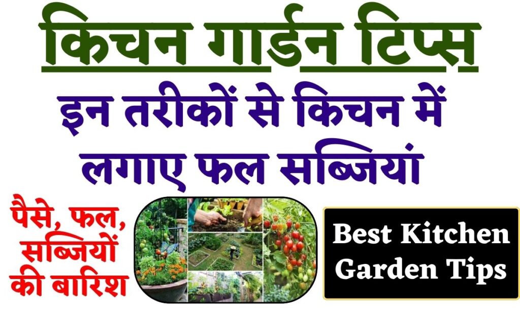 Best Kitchen Garden Tips